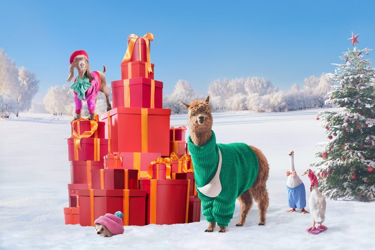 TK Maxx Revives 'Festive Farm' in Christmas 2024 Advert Financial News